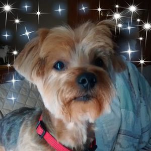 Meet your Posher, Patricia